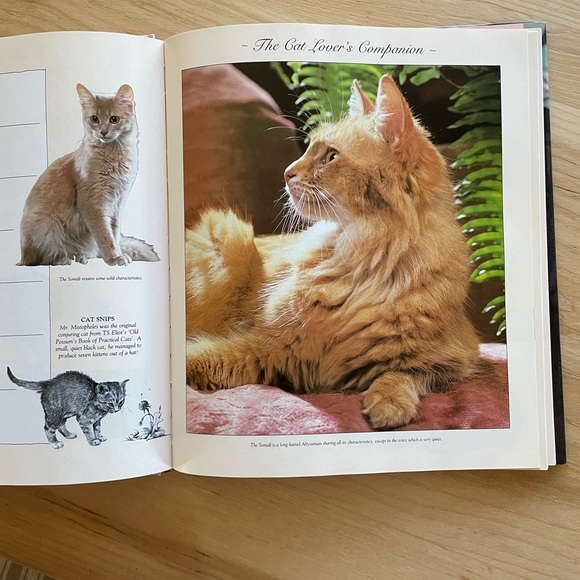 Vintage The Cat Lover’s Companion hardcover book - Picture 1 of 7